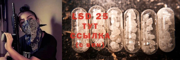 индика Алексеевка