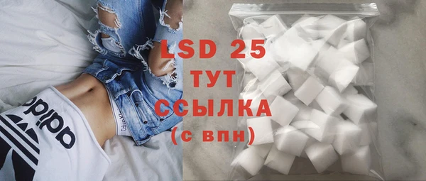 бошки Елабуга