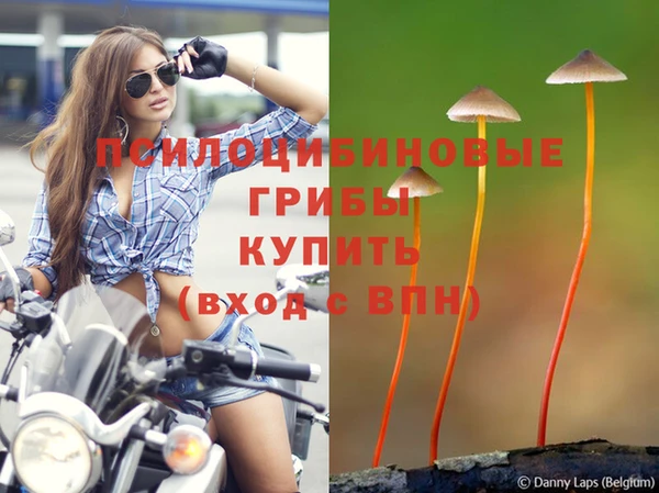 индика Алексеевка