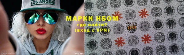 индика Алексеевка
